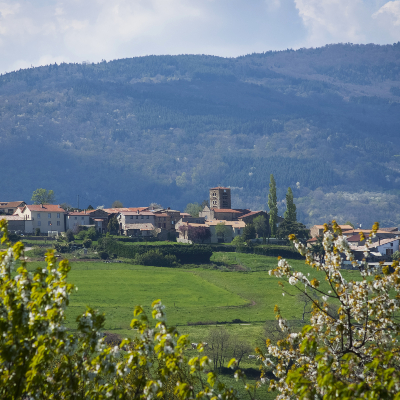 Car trip focusing on the heritage of Ardèche Grand Air