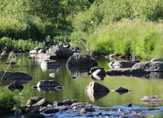 rivière de la bourges ©o.mathis