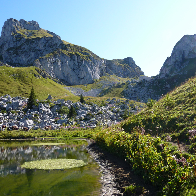 vue sur le Châteu d'Oche depuis le lac de la case