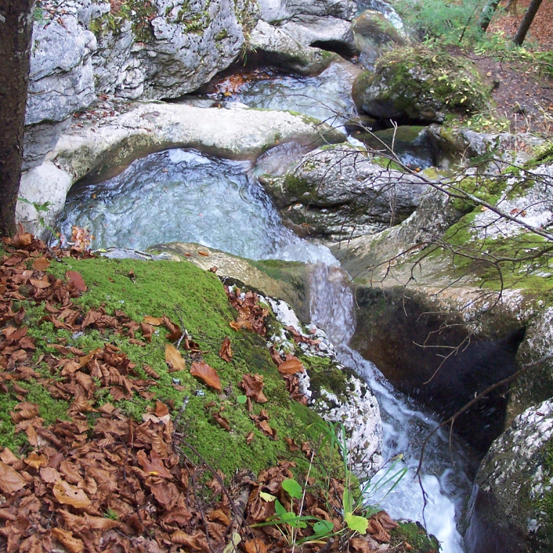 Baignoires des Chartreux au dessus du lac de Vallon