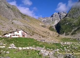 Combe Madame mountain pasture gîte