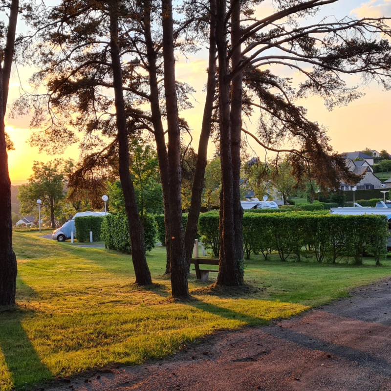 Le Petit Bois camping