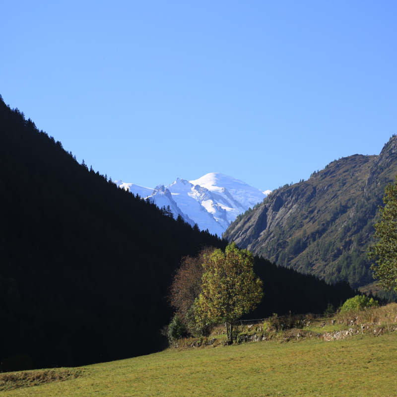 Vallorcine en été