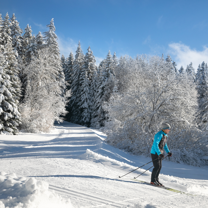 Montfalcon - Piste noire de ski nordique