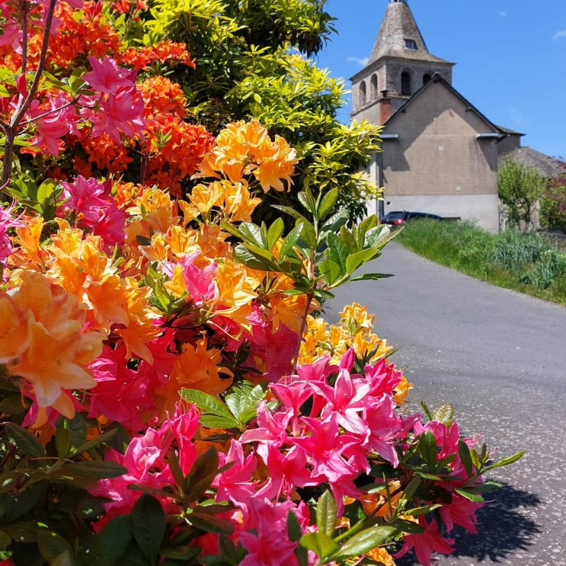 Marché hebdomadaire