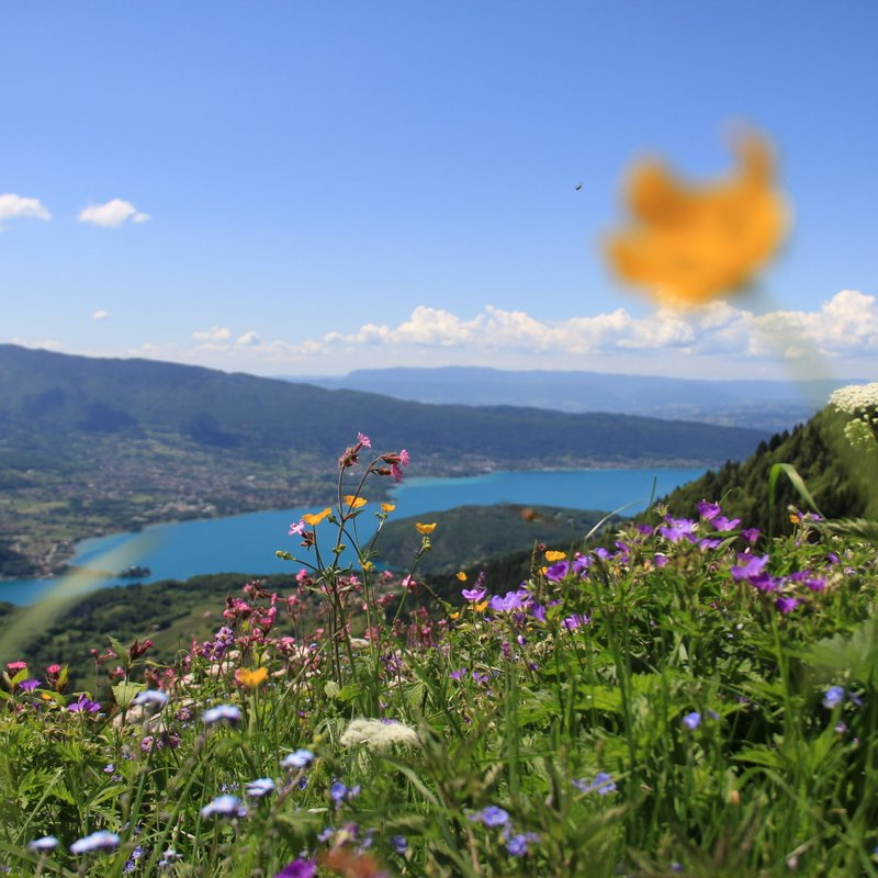 view lake Annecy