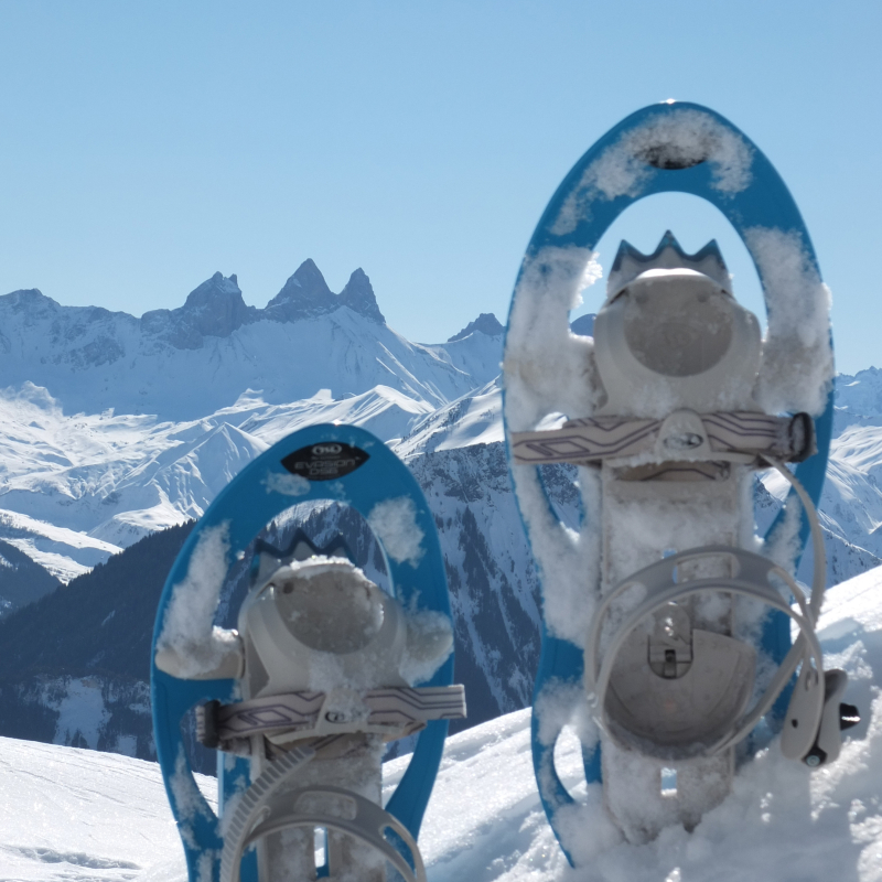 Paire de raquettes devant les Aiguilles d'Arves