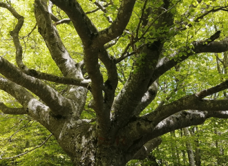 Well-being and reconnecting with nature - Terre et Ciel Randonnée