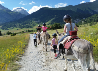 Mini stage pour les enfants avec Ânes et Randonnées à Aussois