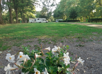 Camping municipal La Plage du Cher