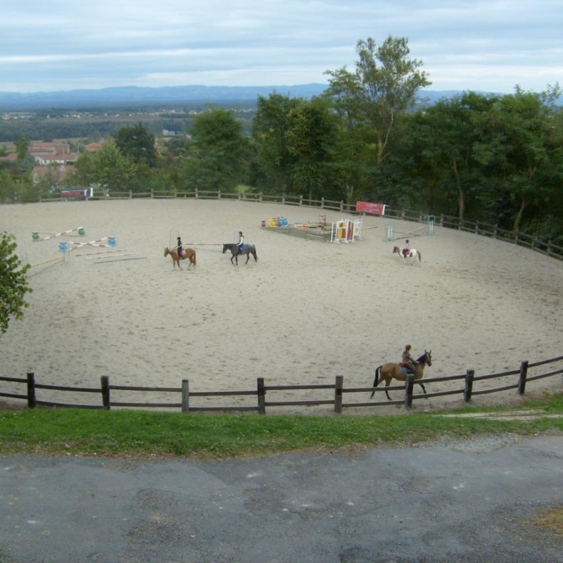 Carrière équestre