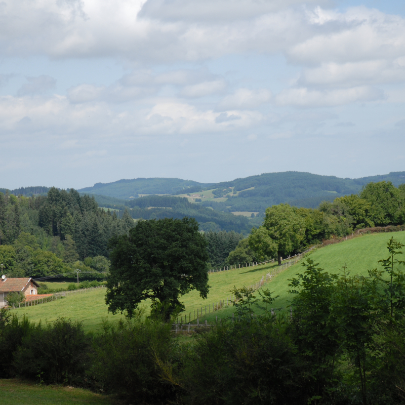 Saint Clément de Vers