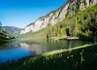 Lac de Montriond