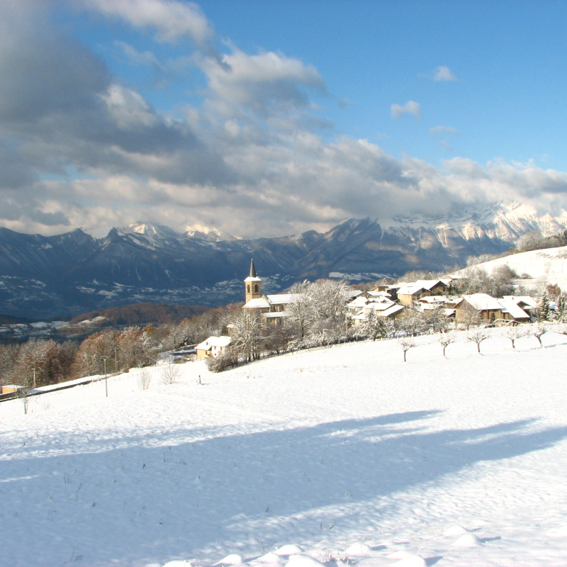 Piste de luge