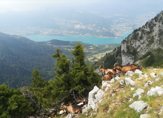 Rando Pointe de Talamarche