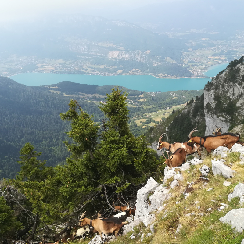 Rando Pointe de Talamarche