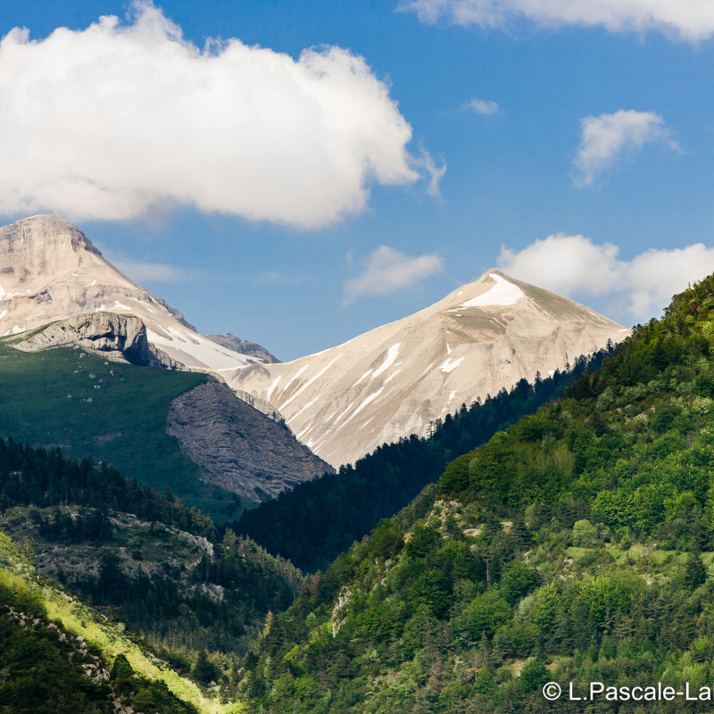 Rando - A la découverte d'un sommet de la région avec Vercors Escapade