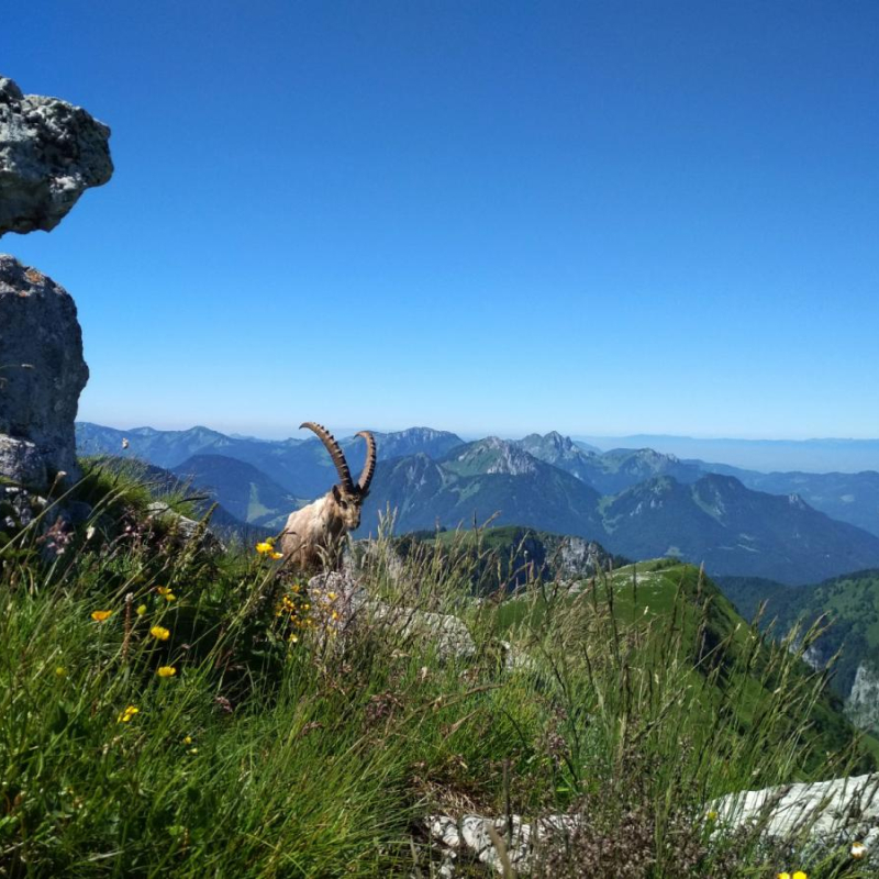 La Pointe de Bénévent