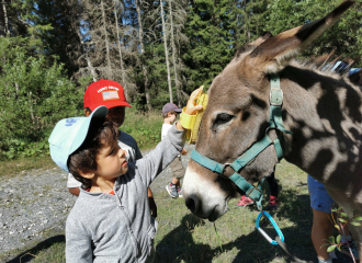 rando-avec-anes-trappeurs-megeve