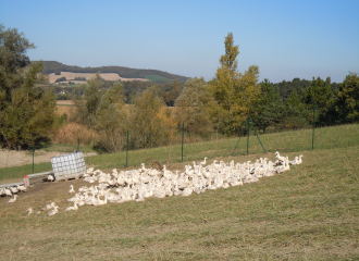 Ferme de la Freydière