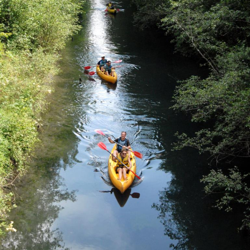 Canoë sur la Rive