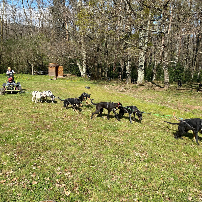 Cani-kart en Ardèche