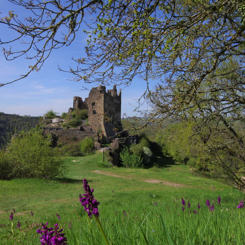 Château Rocher