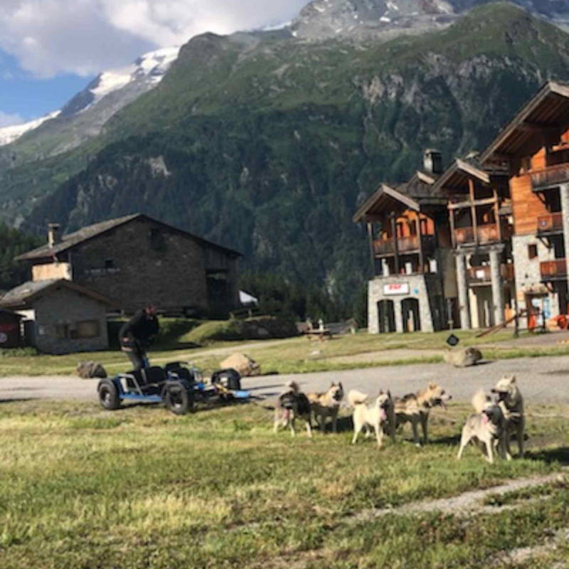 kart avec attelage de chiens devant le Mont Pourri