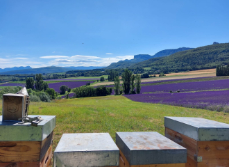 Gaec Les Ruchers de la Valdaine