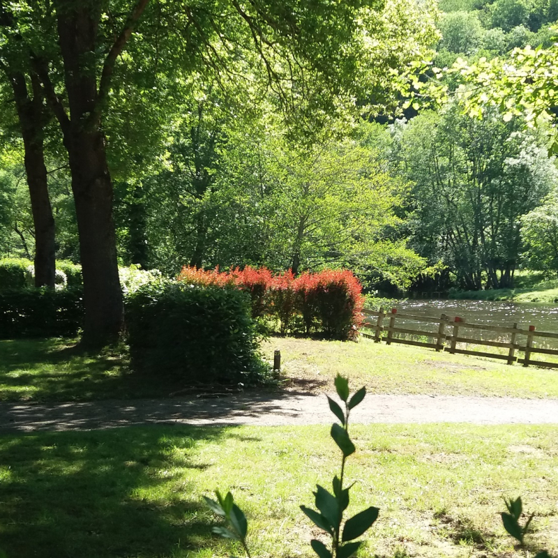 Eplacements à côté de la rivière