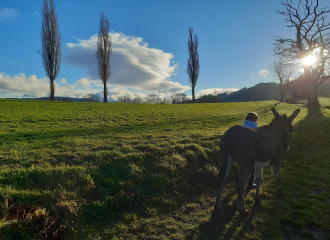 Promenade avec les ânes Marius et Jasmal