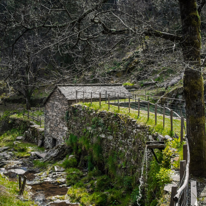 vue générale moulin de marceau planzolles