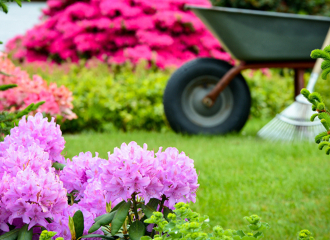 EARL Deroux Plants - Horticulteur