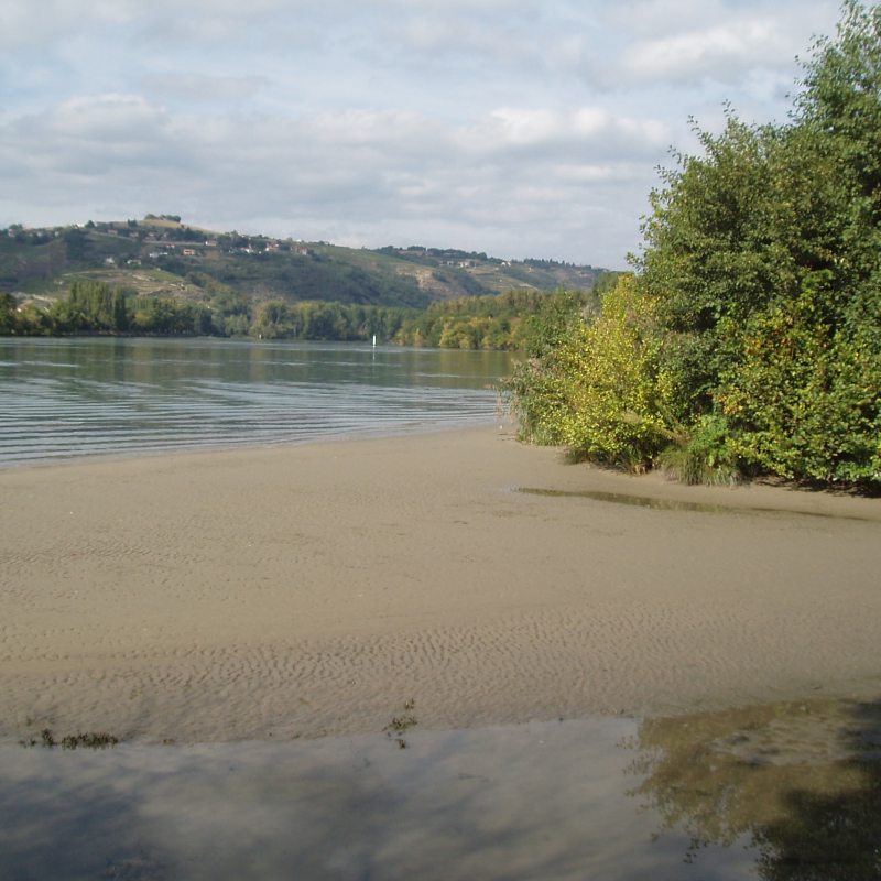 Espace Naturel Sensible de la forêt alluviale de Gerbey