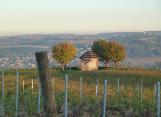 Loge de vignes