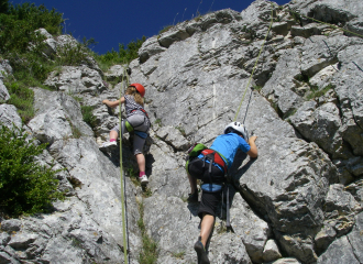 Escalade avec Lézard des Bois