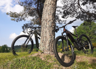 École de pilotage, Rando moto et VTT AE - Greg Fayard