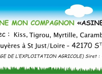 L'âne mon compagnon