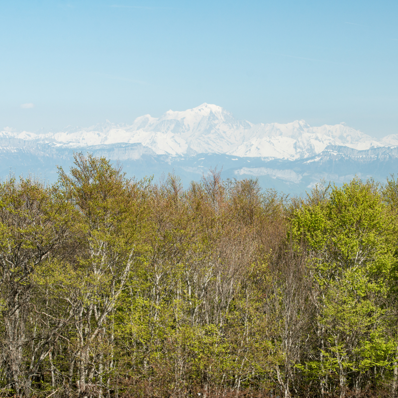 Mont Blanc