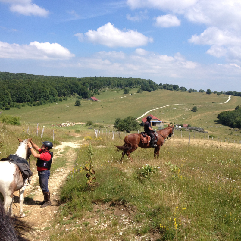 Randonnée équestre dans le Haut-Valromey