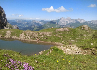 Combe de Tardevant