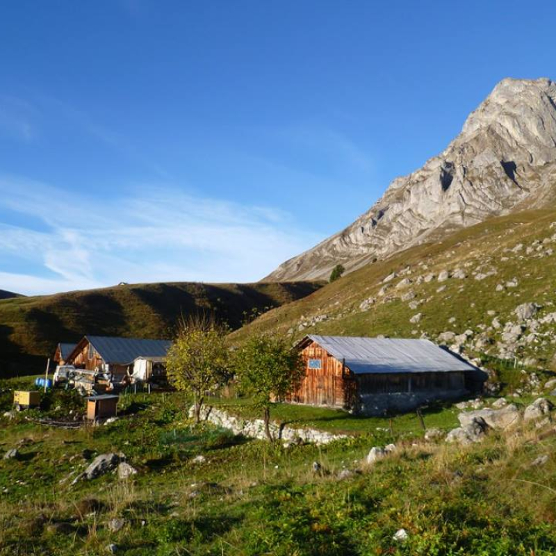 Les Armaillis de l'Alpage des Freddys