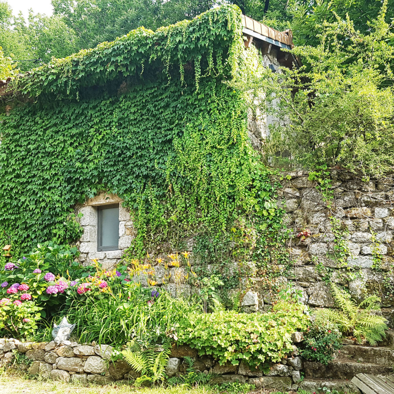 Chambre d'hôtes La Louve