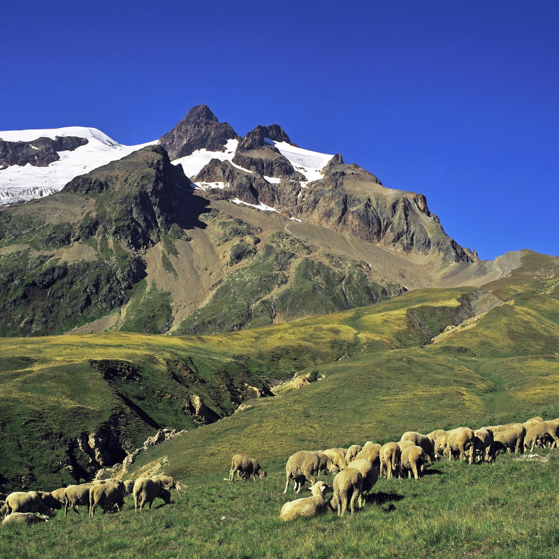 Col de la Seigne