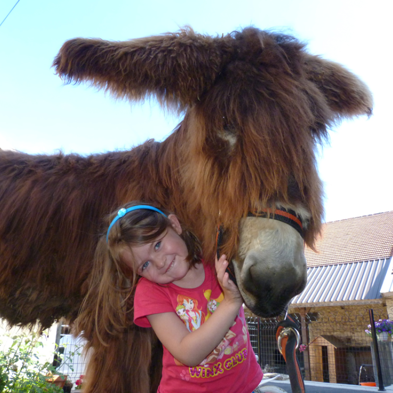 Anniversaire à la ferme