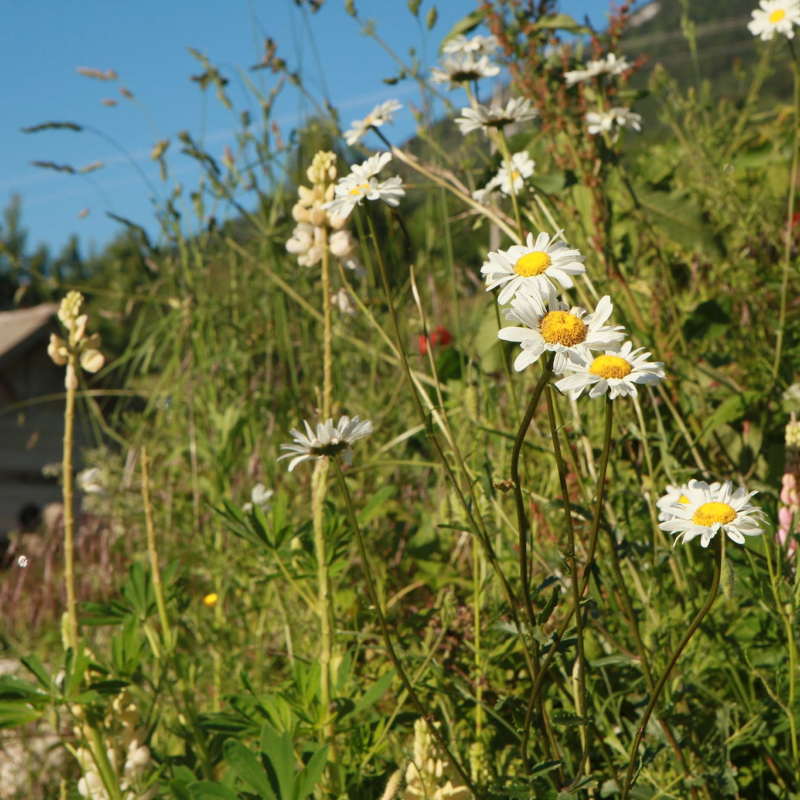 Visite du Jardin de Max et Nana