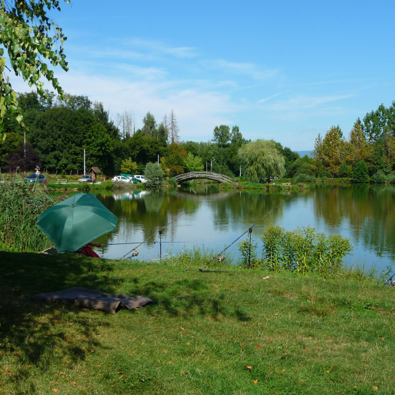 Pêche à l'étang de Tapon