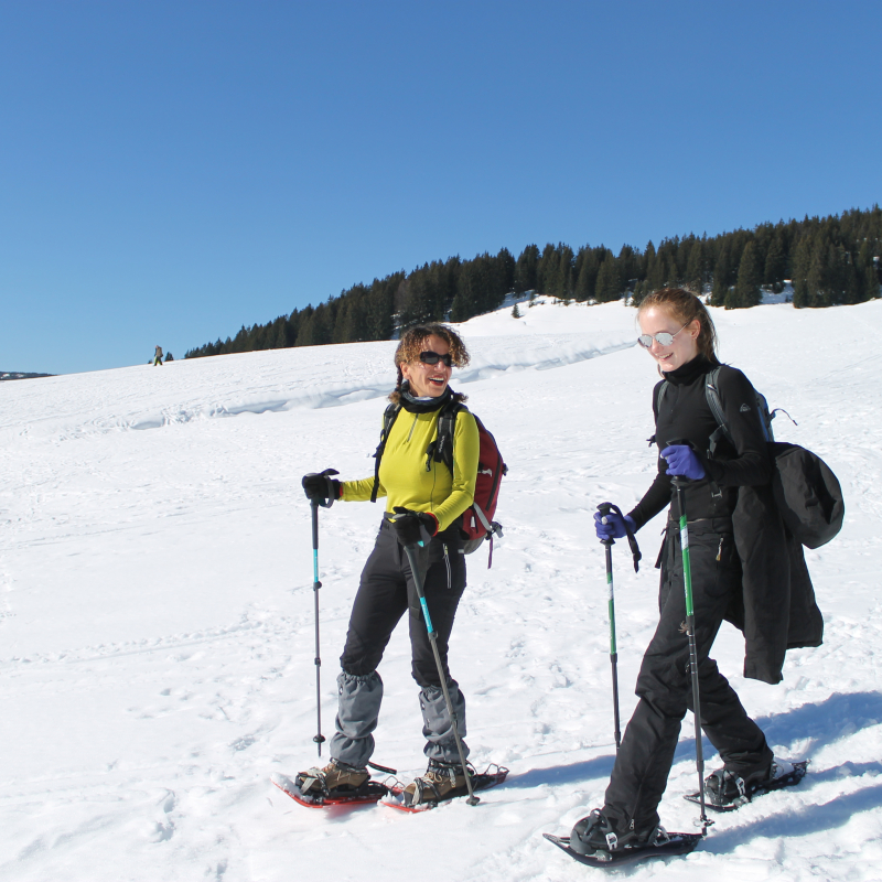 Plateau des Glières