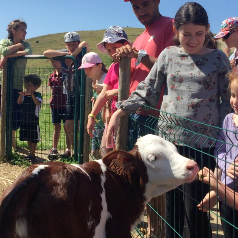 Visite enfant de la Ferme de Lorette