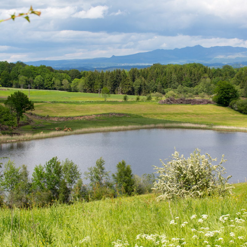 Le Lac du Mont de Bélier